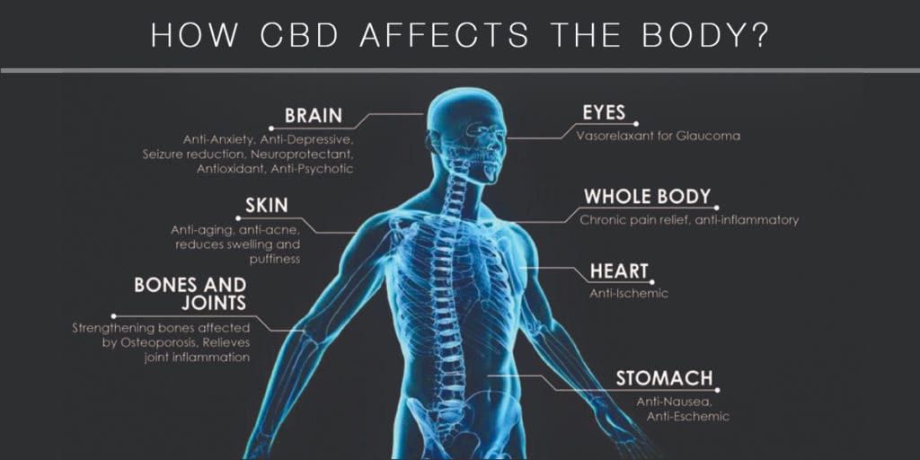 cbd body affect