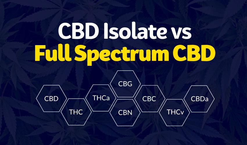 cbd isolate vs cbd full spectrum